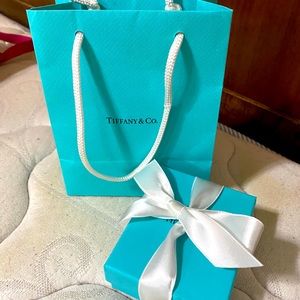 Tiffany & Co bag w/ box and jewelry pouch